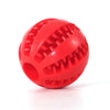 West Paw Rubber Balls