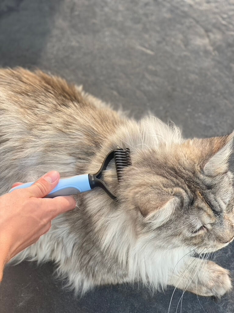 Roadreign Pet Deshedding Brush