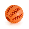 West Paw Rubber Balls